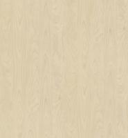 DTDL R55064 FL Borovica morská 2800/2100/18