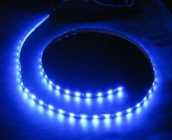 SAL LED pásik 4,8W/m 12V modrá